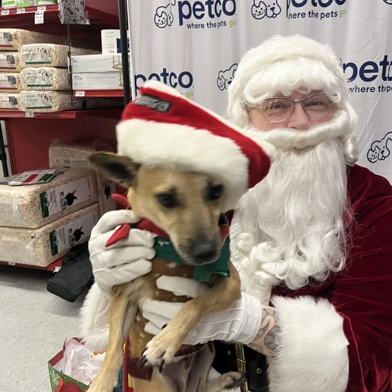 Chocolatte thumbnail 5