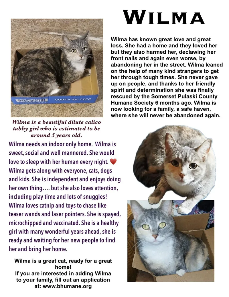 Wilma
