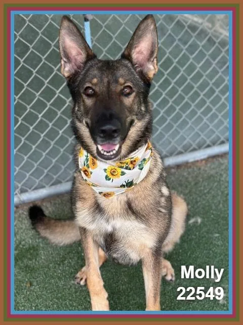 Molly