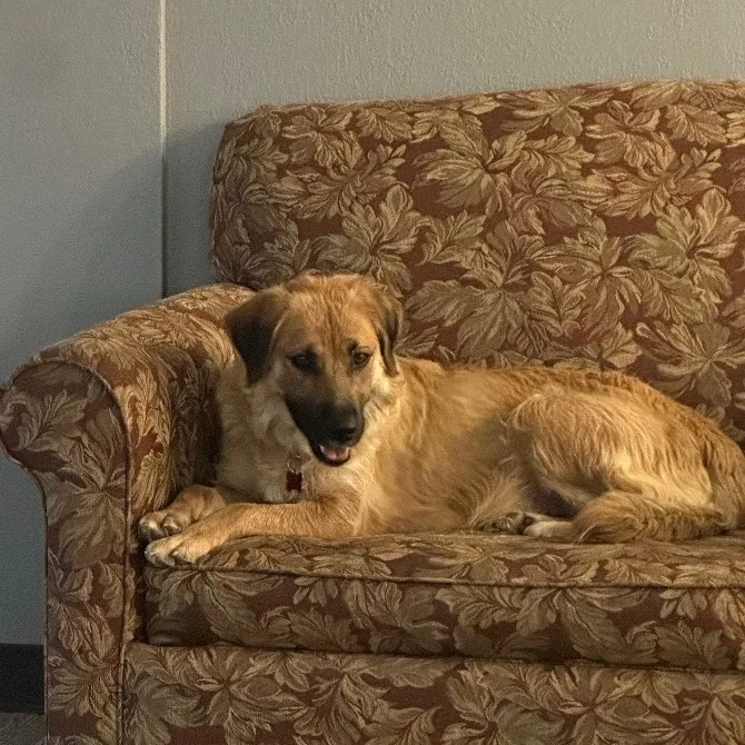 Cheyenne thumbnail 2