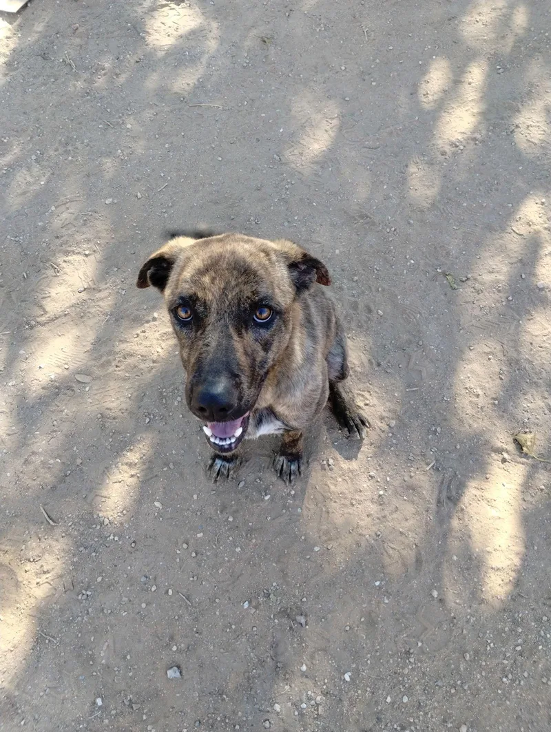 Parvatigood Candidate For Therapy thumbnail 2