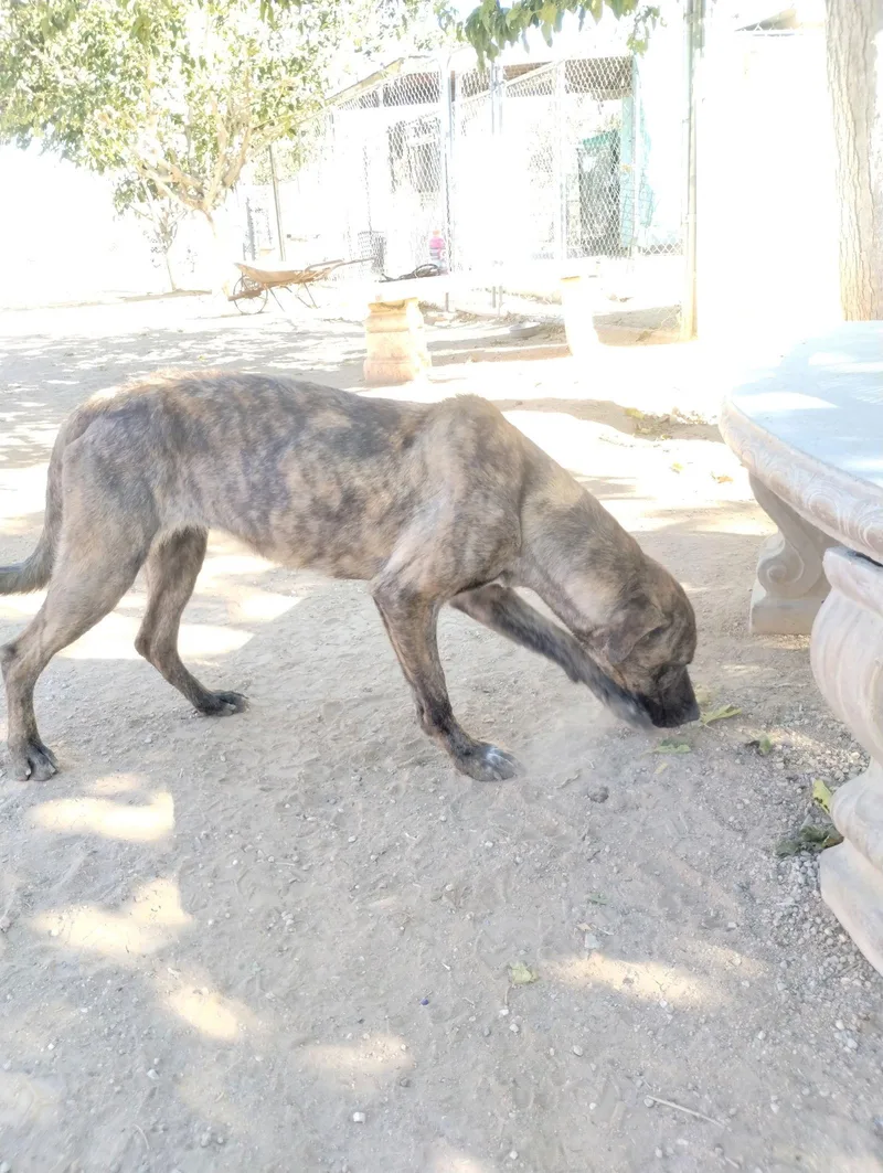 Parvatigood Candidate For Therapy thumbnail 3