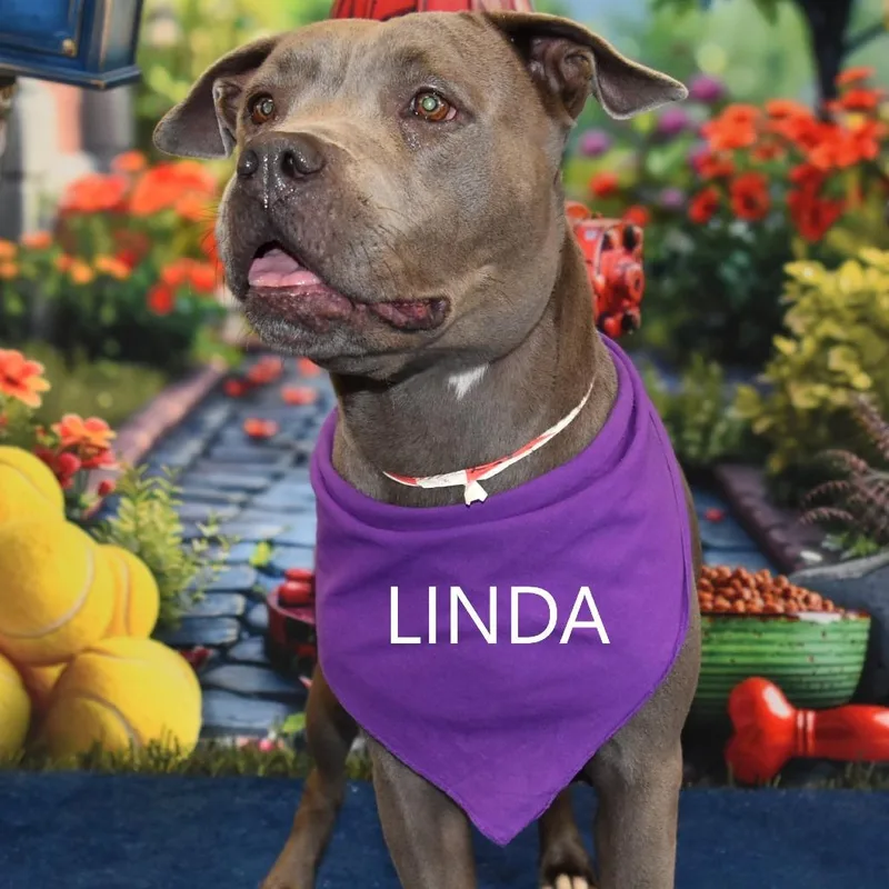 Linda