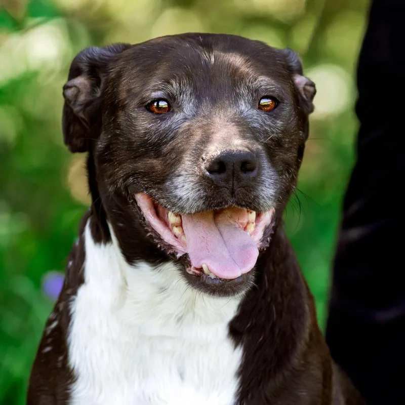 Sparkler thumbnail 2