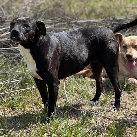 Sparkler thumbnail 3