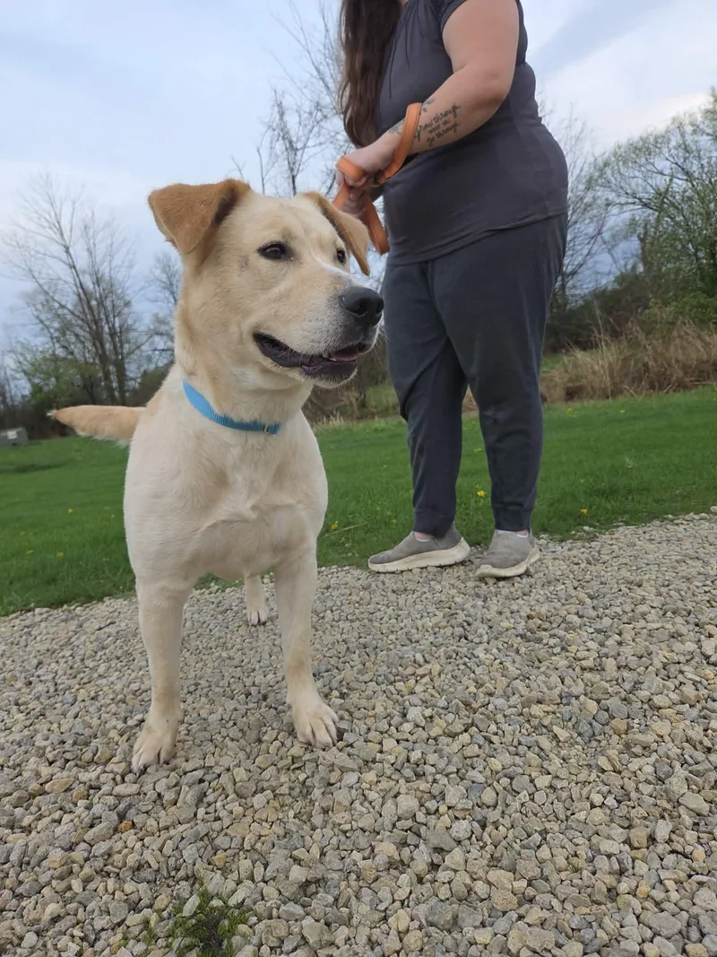 Teddinot Accepting Applications Yet! thumbnail 3