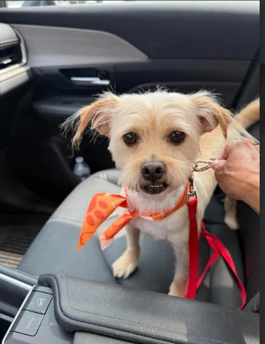 Benji Nick In Ri thumbnail 2