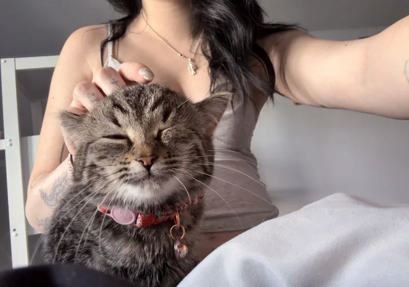 Millie Moo thumbnail 2