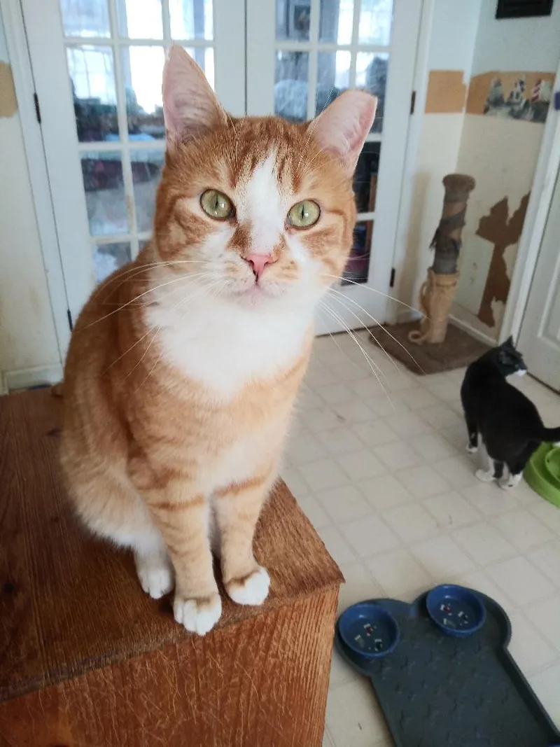 Russ Rich  Handsome thumbnail 3