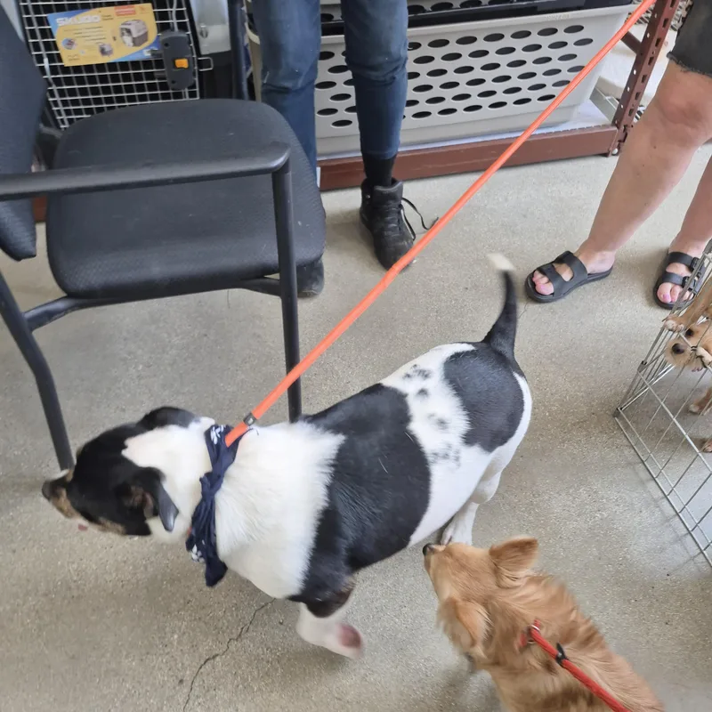 Eleanor  Girl Next thumbnail 2