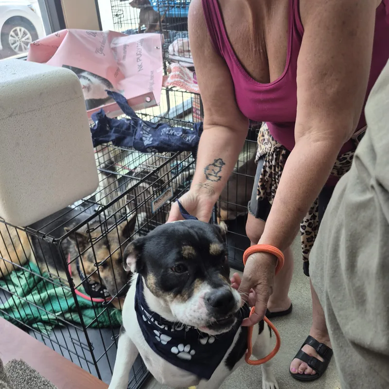 Eleanor  Girl Next thumbnail 3