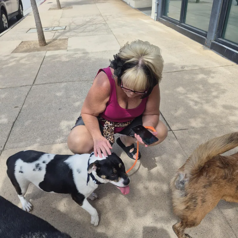 Eleanor  Girl Next thumbnail 4