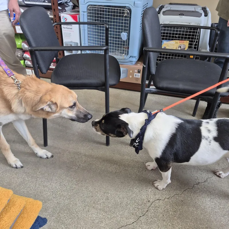 Eleanor  Girl Next thumbnail 5