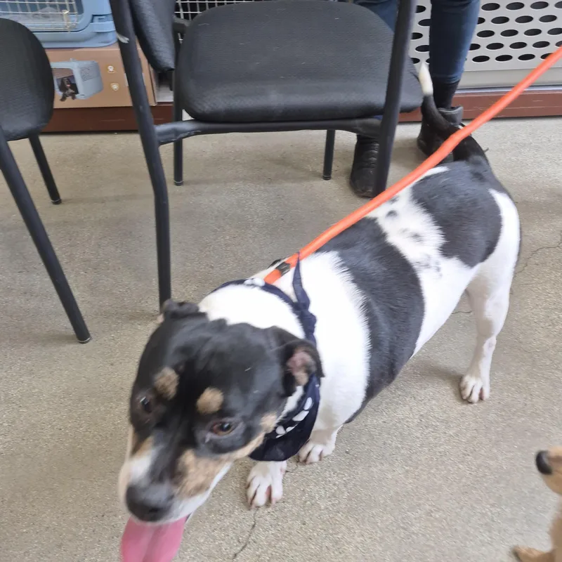 Eleanor  Girl Next thumbnail 6