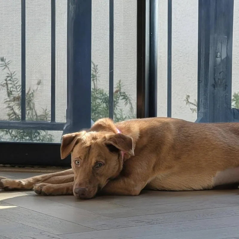 Marlowe Coming Soon thumbnail 3