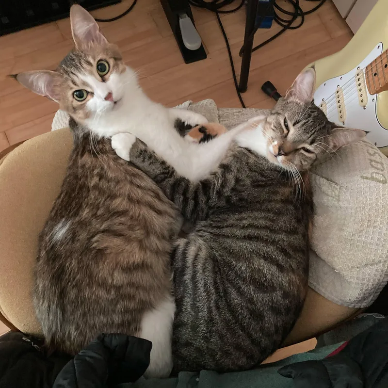 Lalie and Lumie