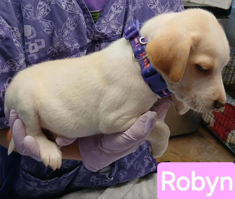 Robyn thumbnail 3