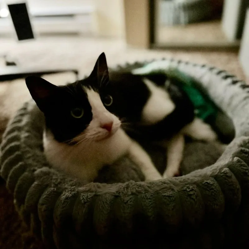 Timmy thumbnail 2