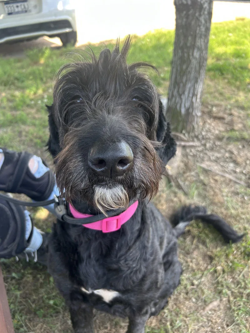 Lola Mae June thumbnail 3