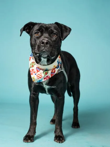 Suga Suga thumbnail 2