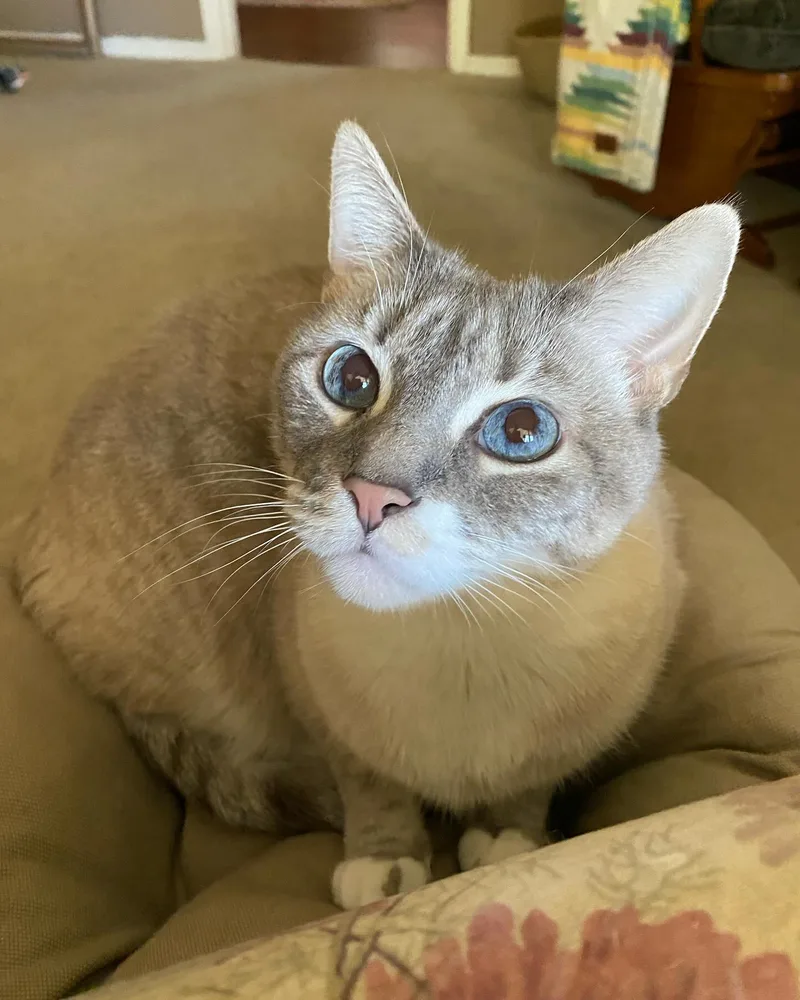 Frankie