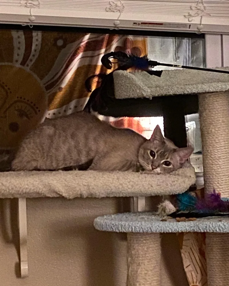 Frankie thumbnail 2