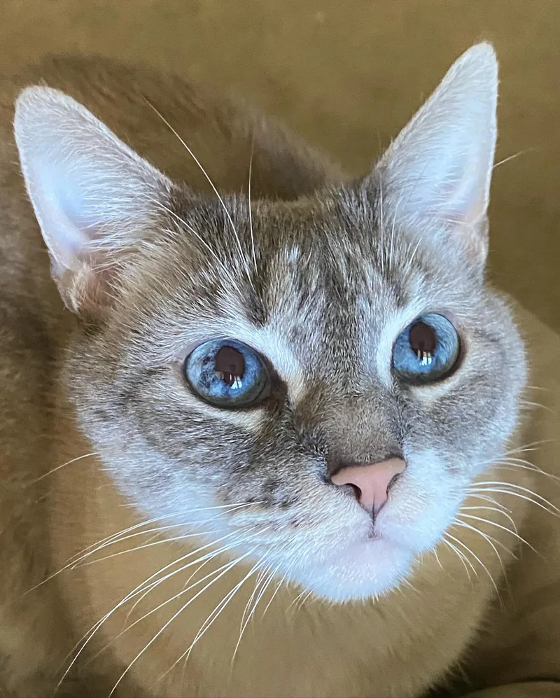 Frankie thumbnail 5
