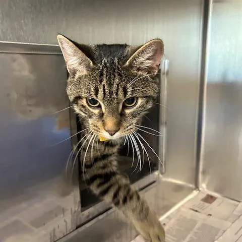 Moonlight thumbnail 2