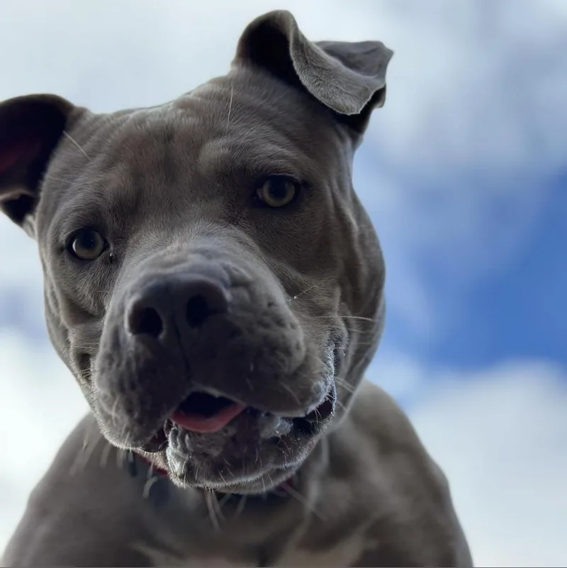 Lady Kim thumbnail 3