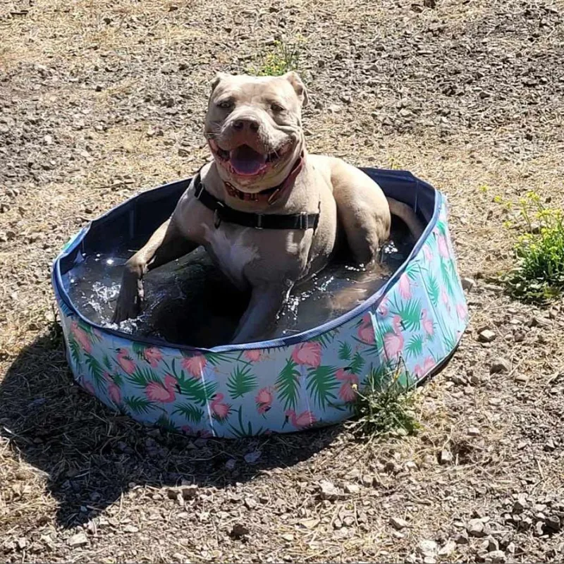 Lady Kim thumbnail 5