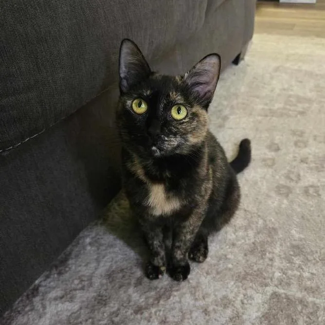 Marie Curie thumbnail 2