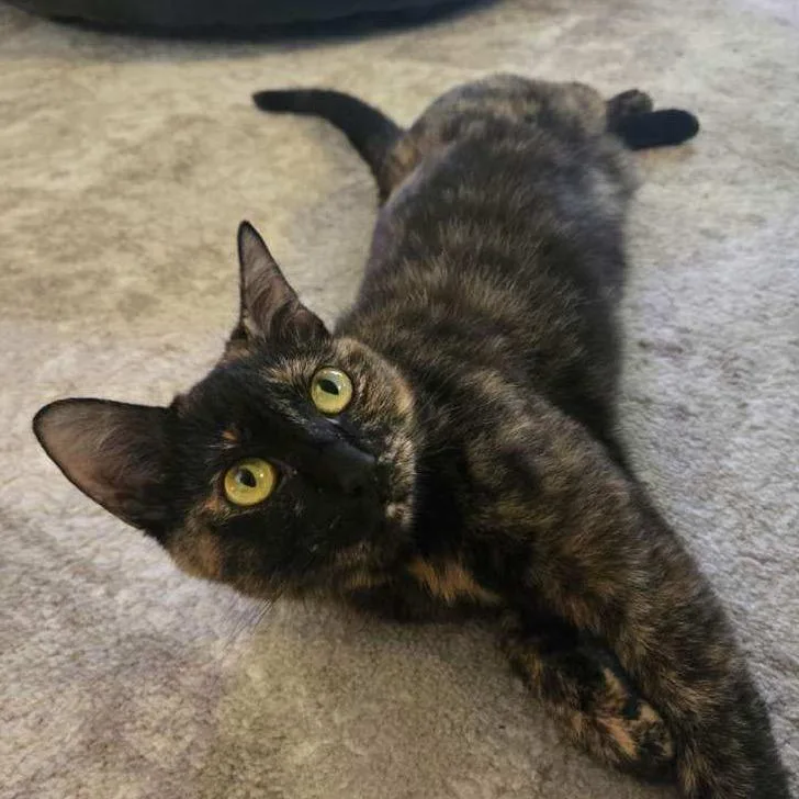 Marie Curie thumbnail 4