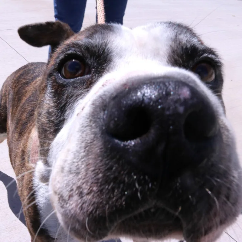 Charlene thumbnail 2