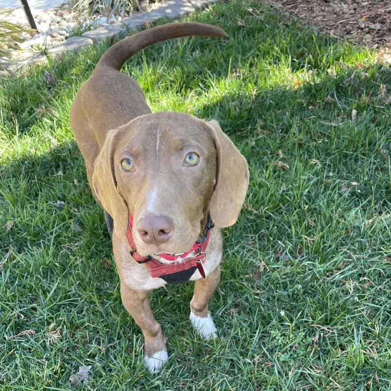 Leo Bennett thumbnail 2