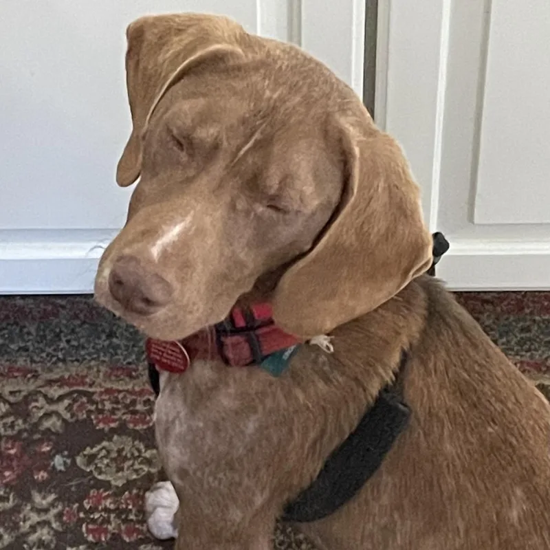 Leo Bennett thumbnail 3