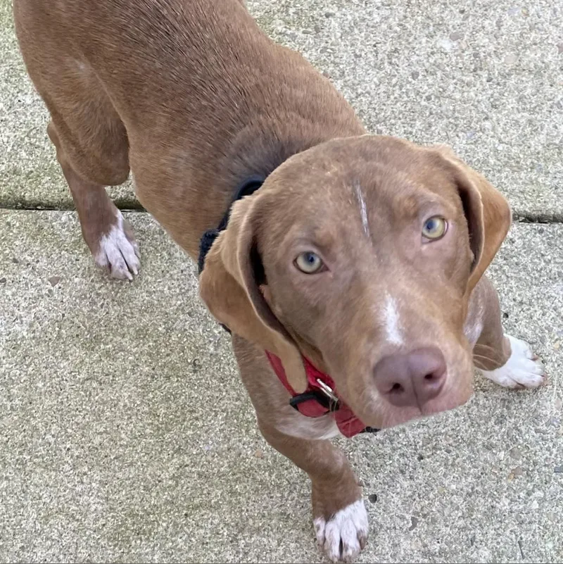 Leo Bennett thumbnail 4