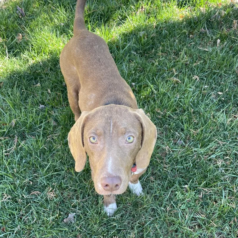 Leo Bennett thumbnail 5