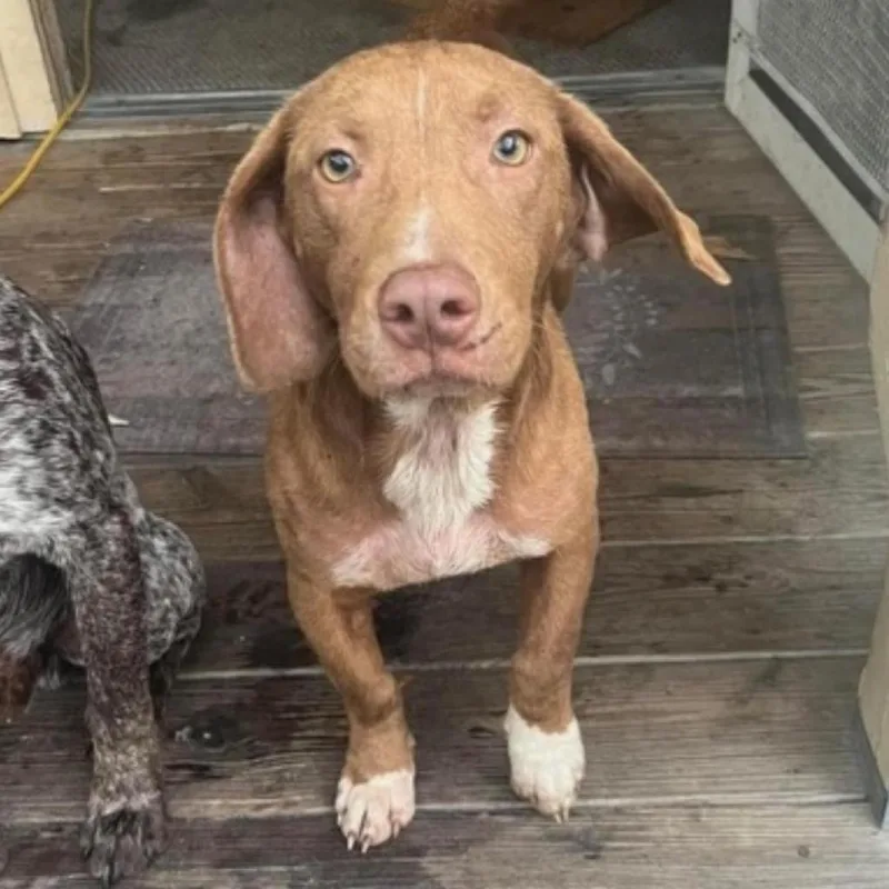 Leo Bennett thumbnail 6