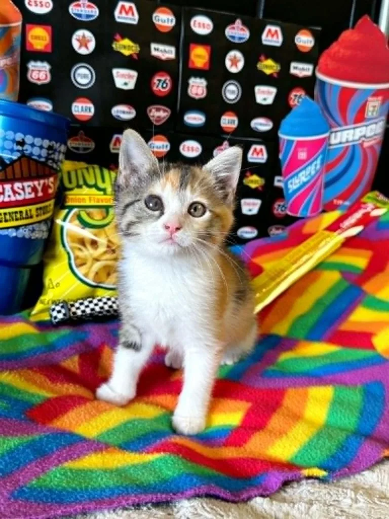 Slurpee thumbnail 3