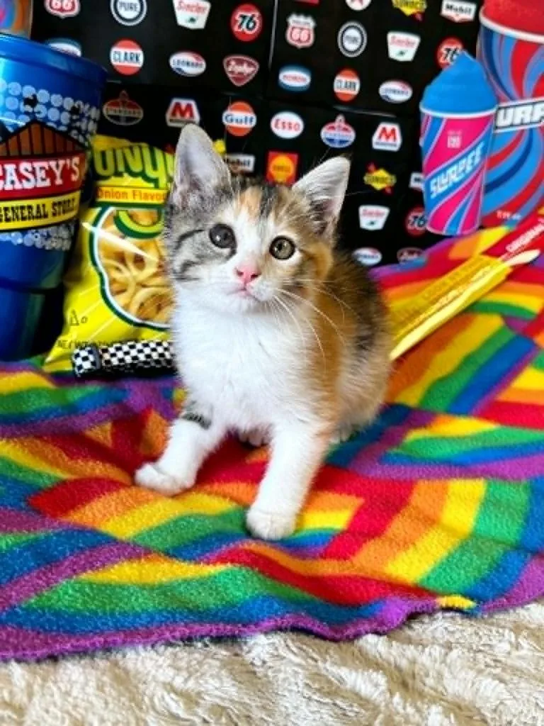 Slurpee thumbnail 4