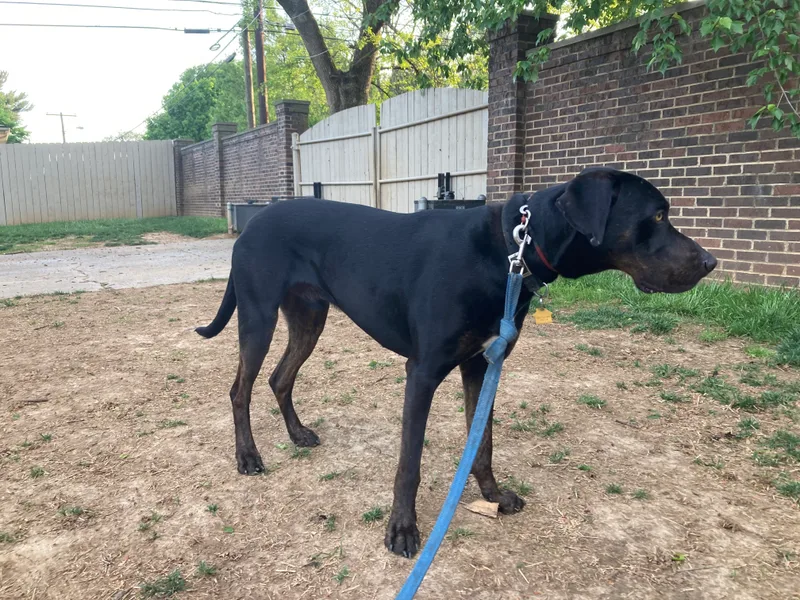 Nakota  Jj thumbnail 2