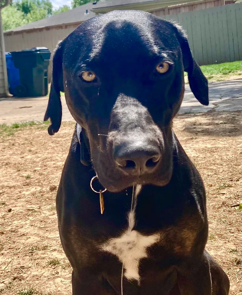 Nakota  Jj thumbnail 3