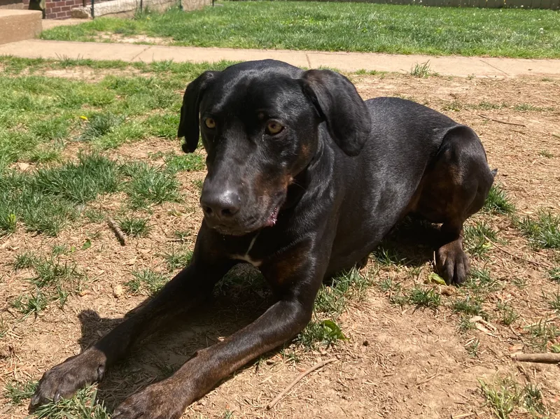 Nakota  Jj thumbnail 4