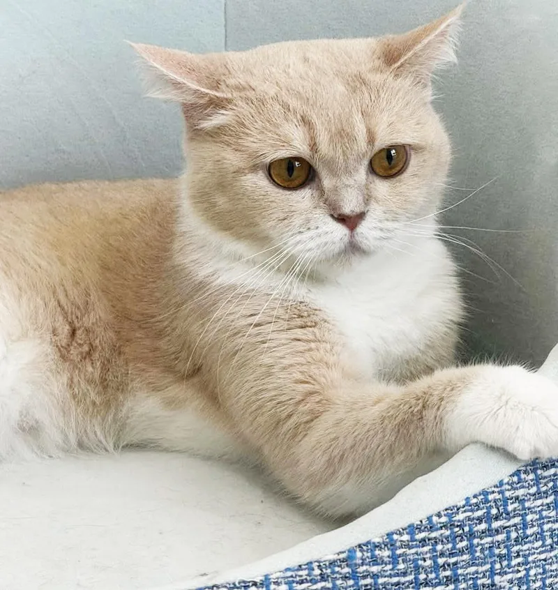 Honey Is A Honey thumbnail 2