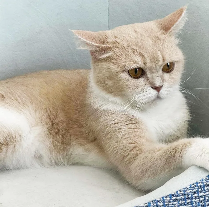 Honey Is A Honey thumbnail 3