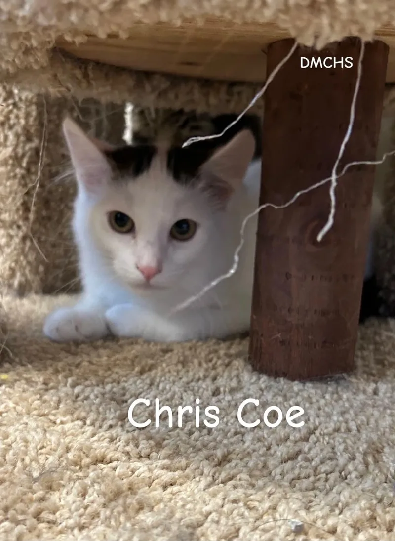 Chris Coe