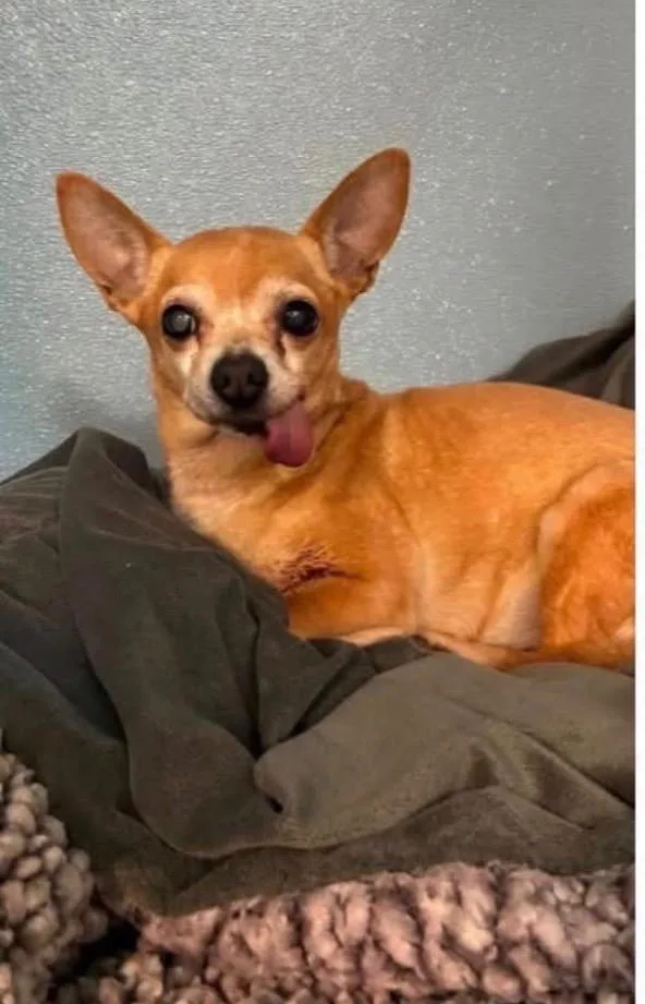 Coco