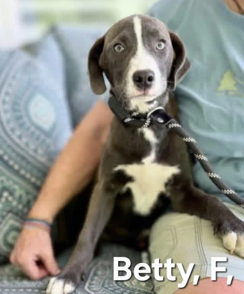 Betty