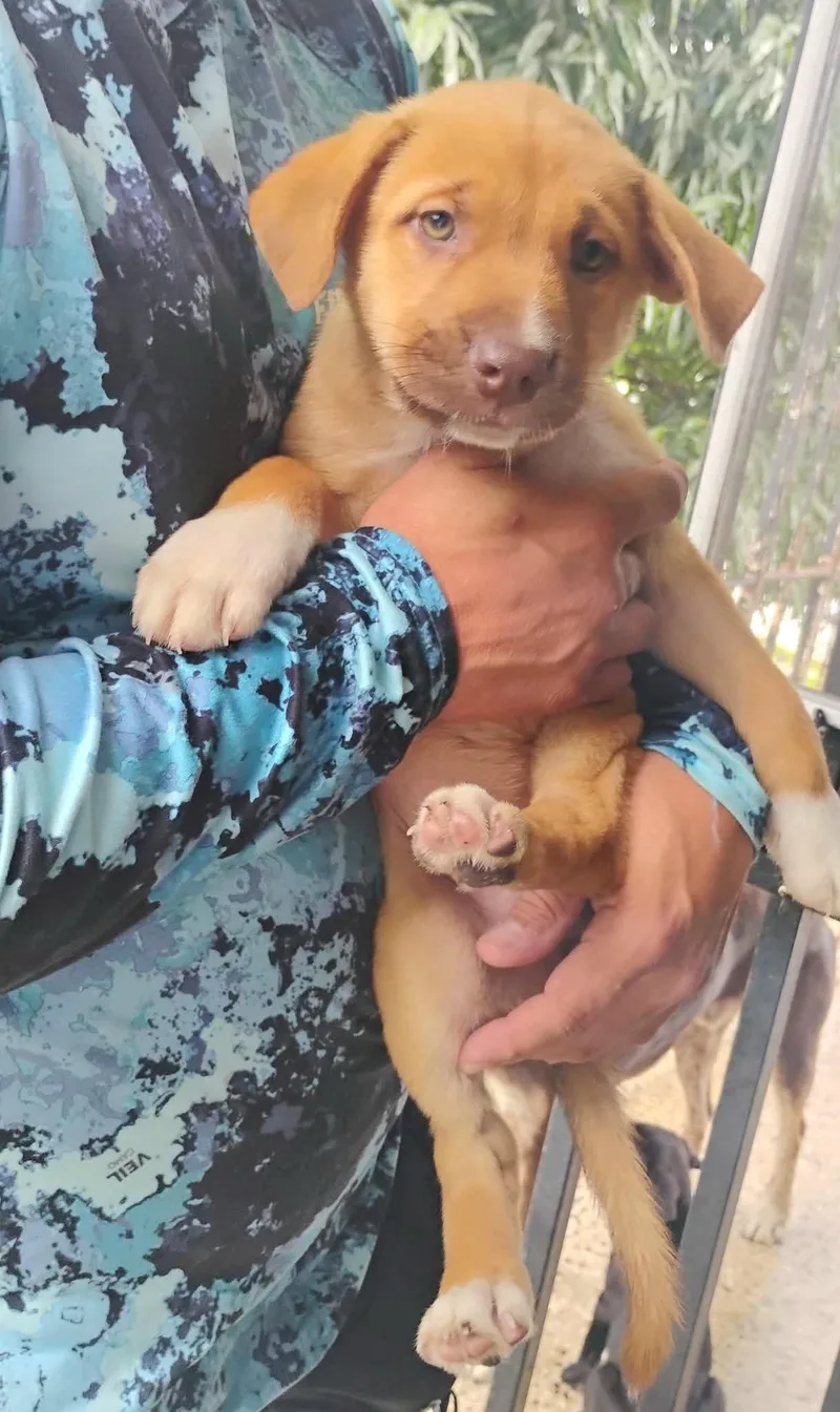 Nena "hugs Anyone?" thumbnail 2