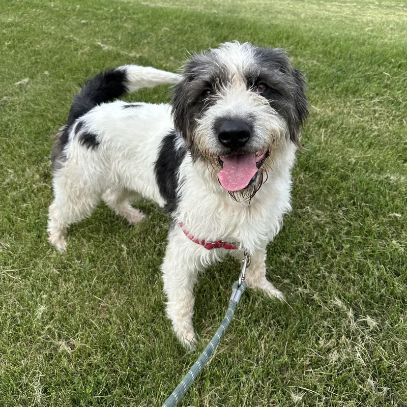 Petra thumbnail 5